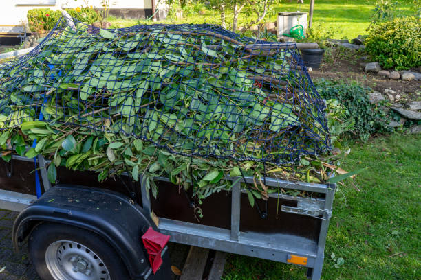 Best Electronics and E-Waste Disposal  in Steep Falls, ME